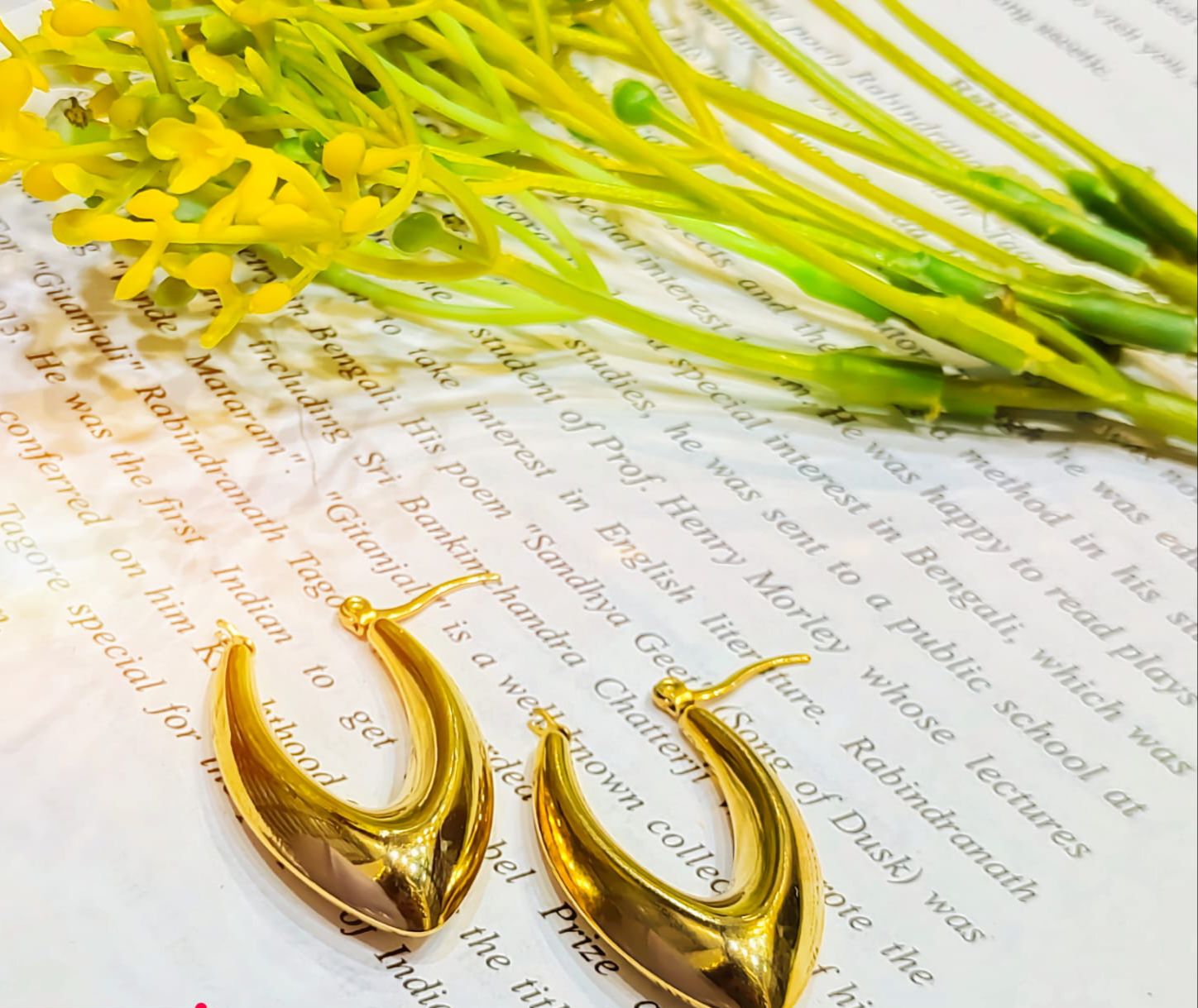 Classic Golden Plated Minimal Westren Earrings